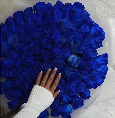 Blue Roses