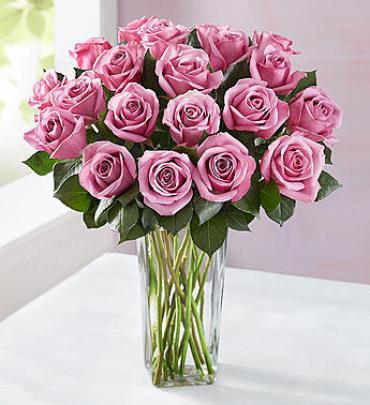 Passion for Purple Roses