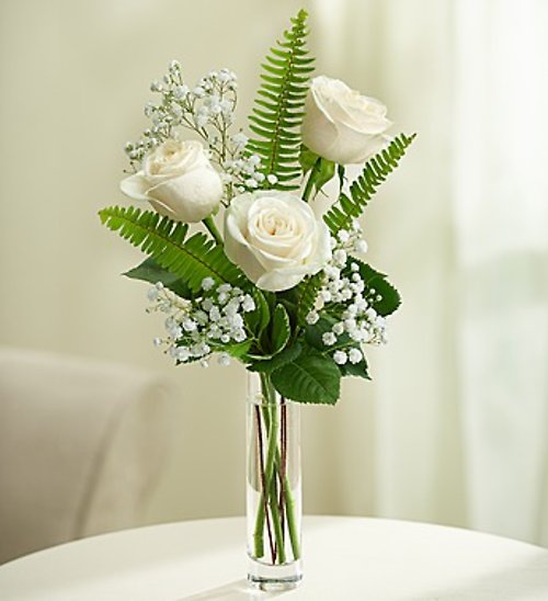 Love\'s Embrace Roses – White