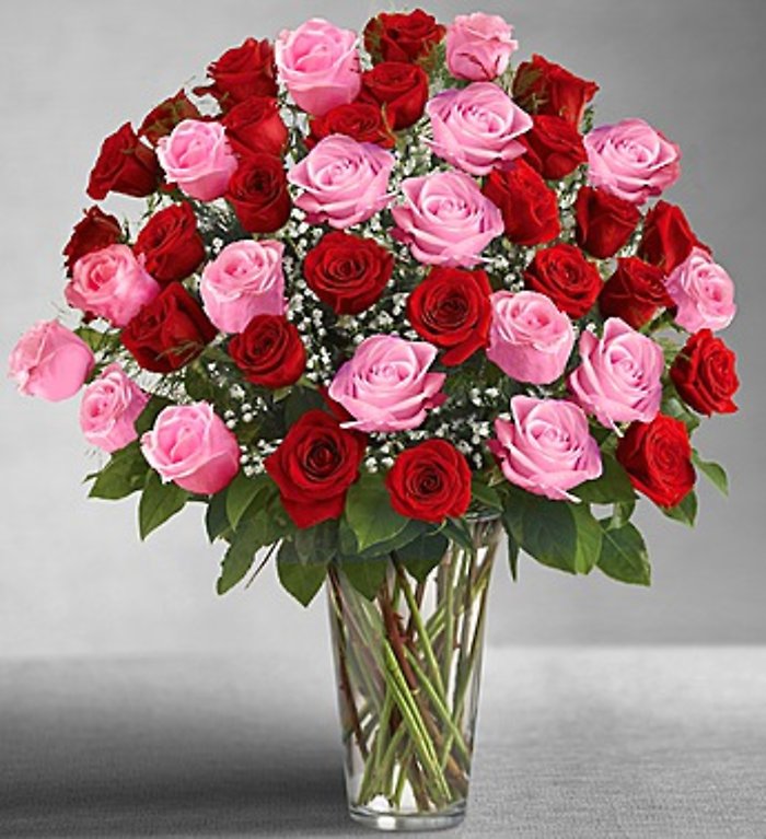 Unltimate Elegance Four DZ Long Stem Red and Pink Roses