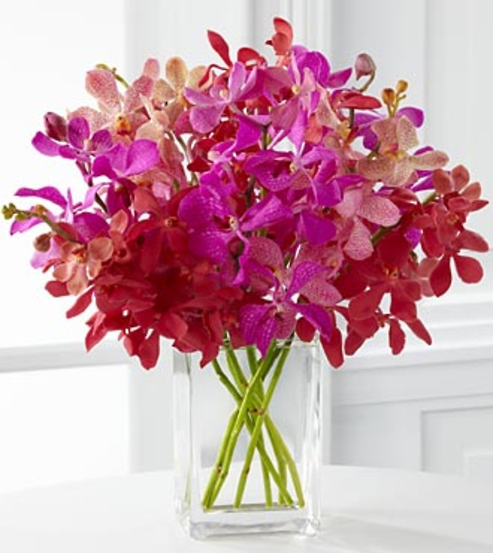 Tickled Pink Orchid Bouquet - 10 Stems