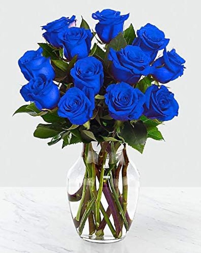 Blue Roses