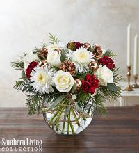 Natural Elegance by Southern Living