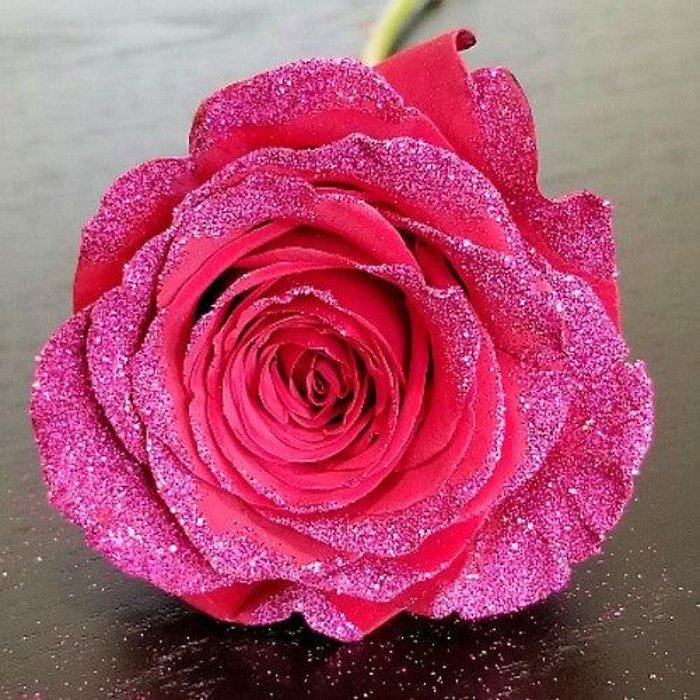 CDW #24 HOT PINK GLITTER ROSES