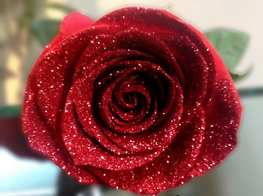 CDW #23 RED GLITTER ROSES
