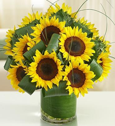 Sun-Sational Sunflowersâ„¢