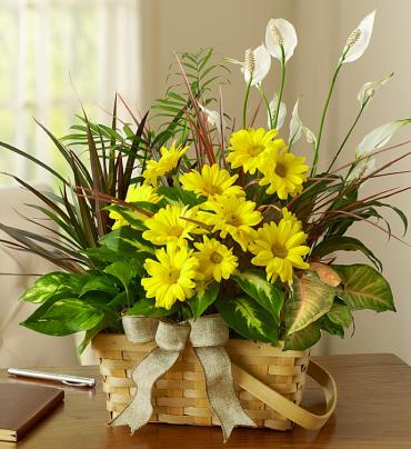 Dish Garden with Fresh Cut Flowers