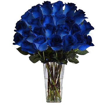 Blue Roses