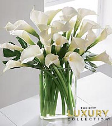 Simplicity Luxury Calla Lily Bqt. 20 stems