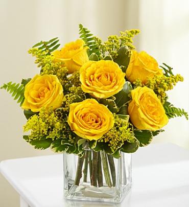 Love\'s Embrace Roses â?? Yellow