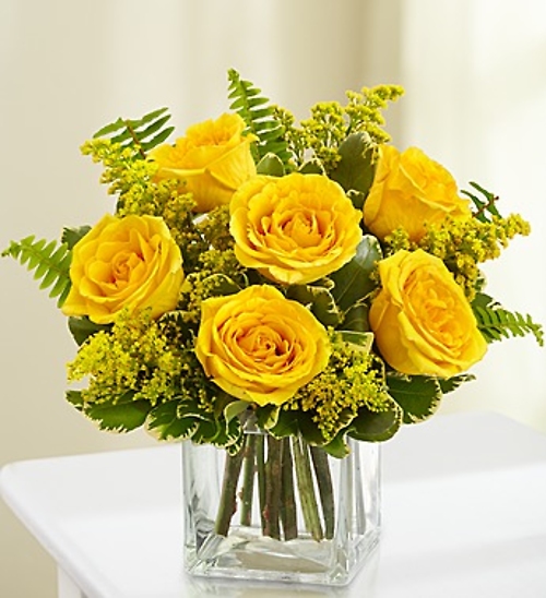 Love\'s Embrace Roses  Yellow