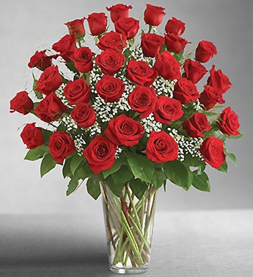 Ultimate Elegance Premium 36 Long Stem Red Roses