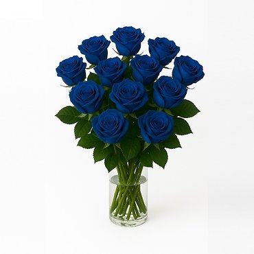 Blue Roses