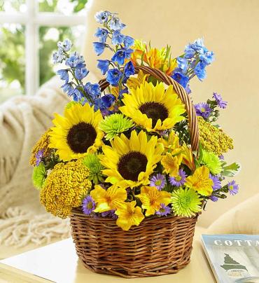 Fields of Europe Summer Basket