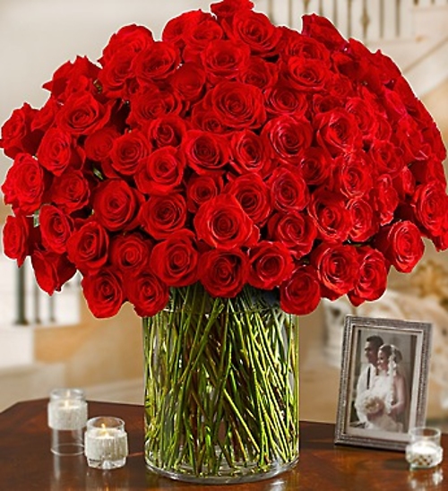 100 Premium Red Roses in a Vase